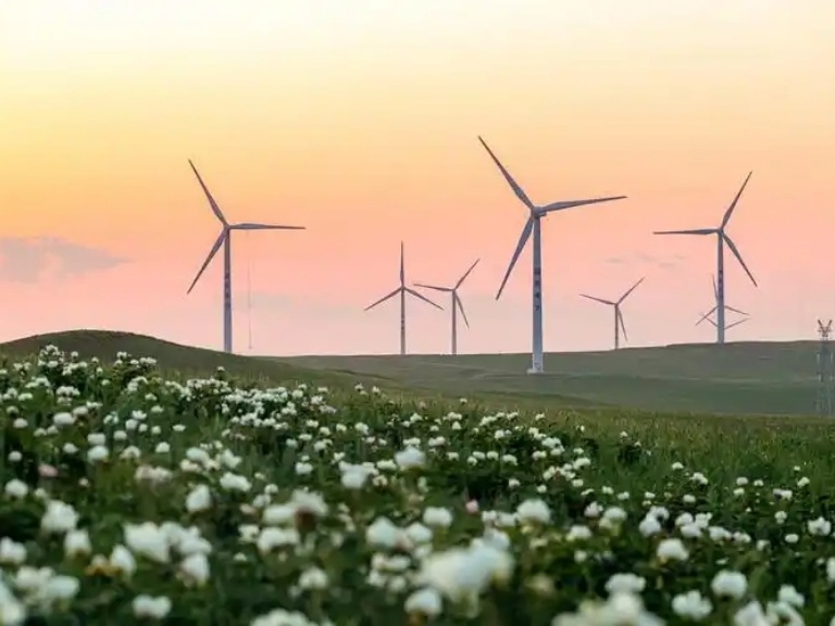 Inner Mongolia Strengthens Coordination to Scale Up New Energy Consumption