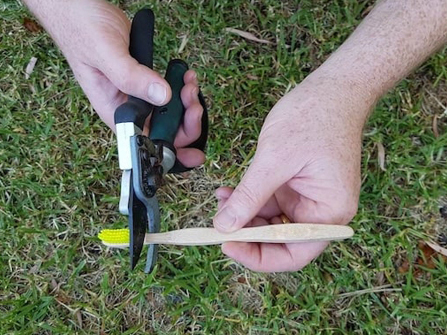 How to Properly Dispose of a Bamboo Toothbrush: Step-by-Step Guide for Eco-Friendly Disposal