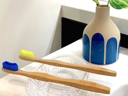 Bamboo Toothbrush Market Size and Trends
