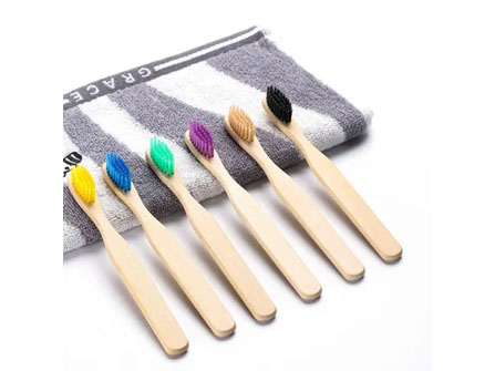 Why Should You Switch to Bamboo Toothbrushes?