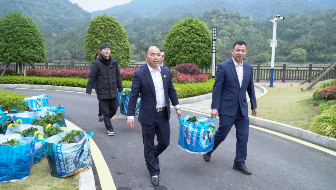 Fujian Shunchang Shengsheng Wood Industry Limited Company carries out tree planting activities