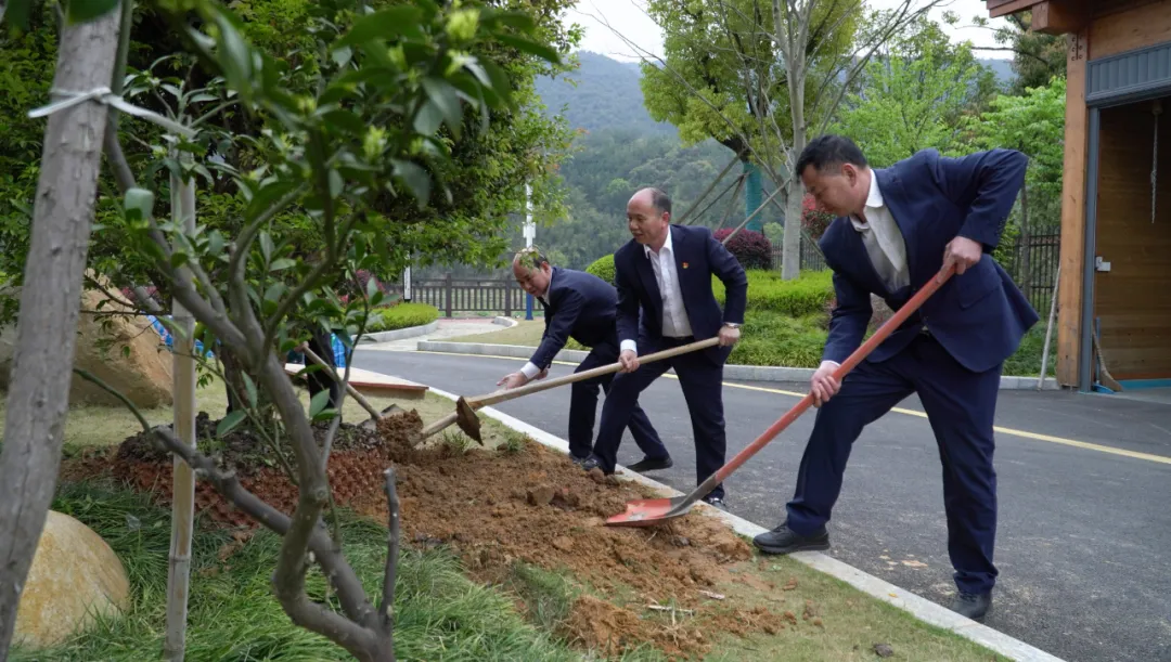 Fujian Shunchang Shengsheng Wood Industry Limited Company carries out tree planting activities