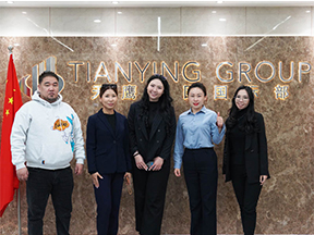 Acerca del grupo Tianying