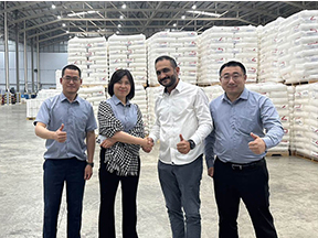 Acerca del grupo Tianying