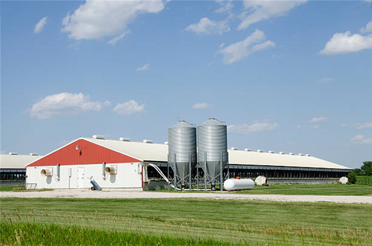 Steel structure farm
