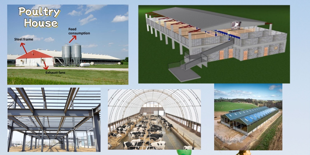 Advantages of Steel Structure Farms