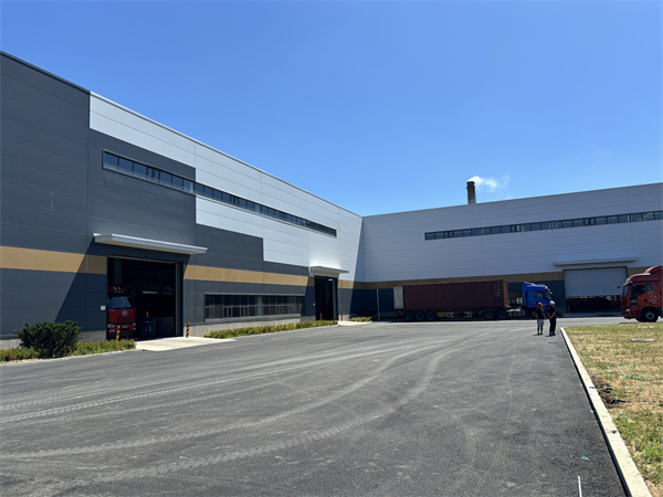 Tianying Group New Workshop Online