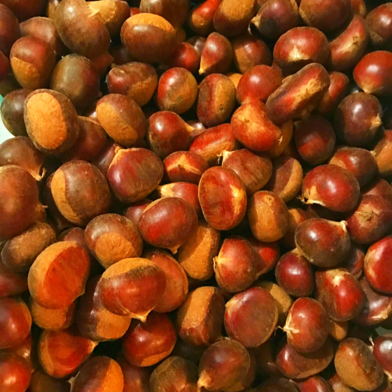 Chestnut Kernel Healthy Frozen Golden Chestnut Kernels - Perfect for Snacking and Cooking
