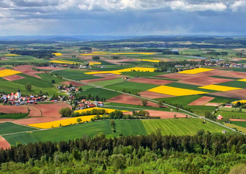 Global Crop Region Highlights – May 2025