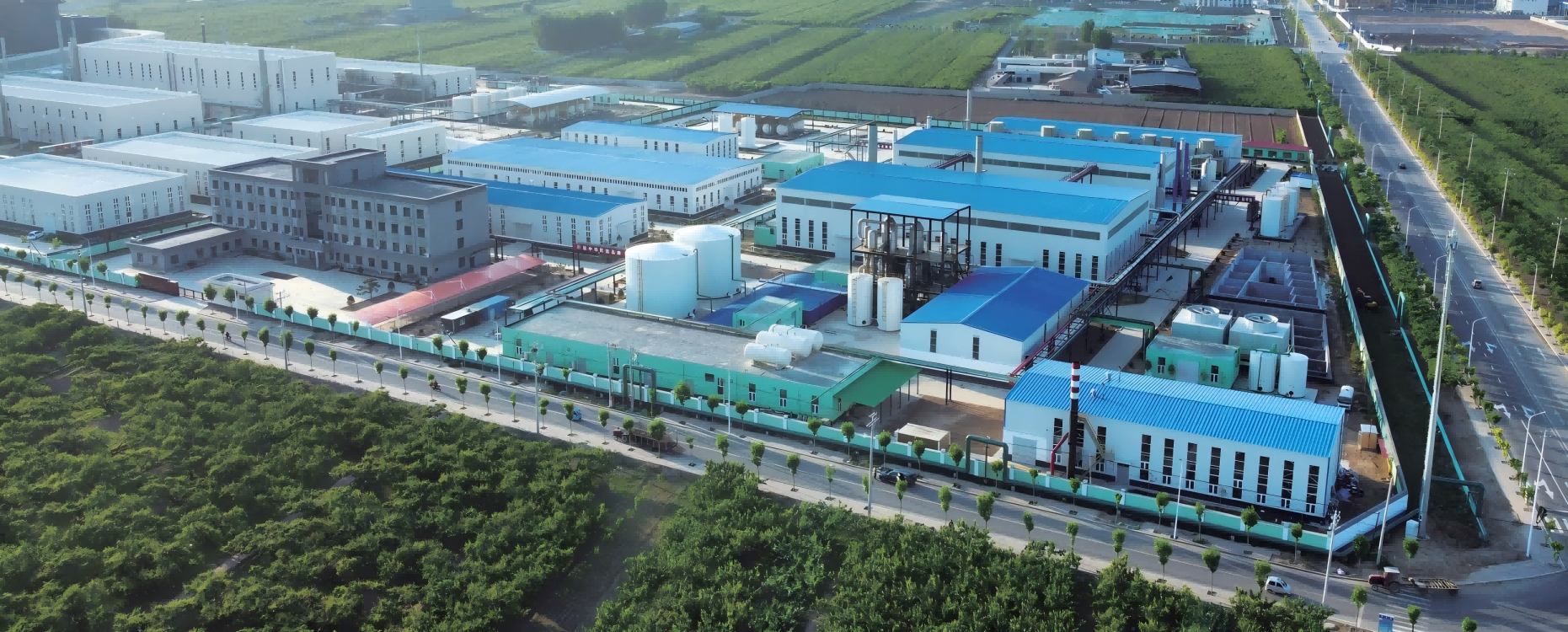 KMX HPMC Chemical Co.,Ltd.