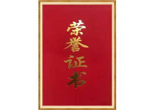 Certificato d'Onore