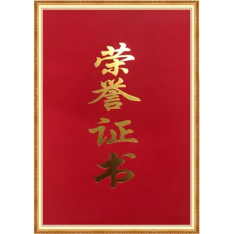 Certificato d'Onore