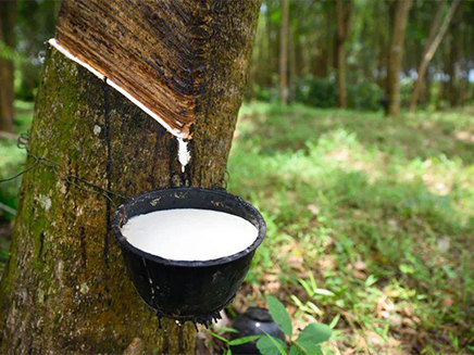 Which Type of Rubber is Best Suited for Suspension Bushings