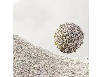 What is the healthiest cat litter to use?