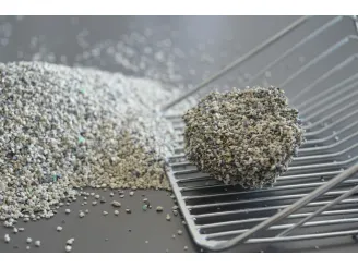 How to dispose of used bentonite litter properly?