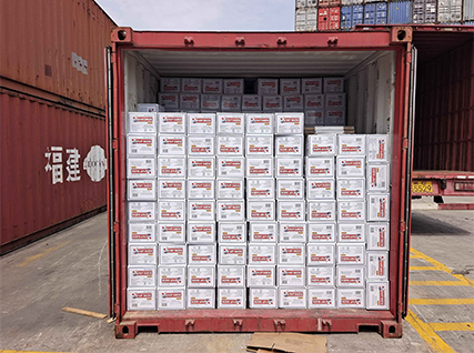 Successful Delivery of High-Quality Dry Yeast Products to Portugal