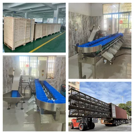 Automatic Weight Sorting Machine For Fruits And Vegetables