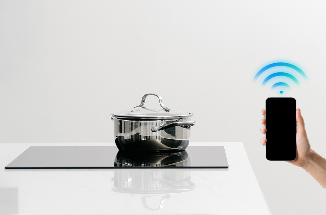 {Induction Cooker}