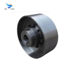 WGZ Type Drum Gear Coupling With Brake Wheel
