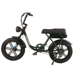 wholesale electric mountain bike