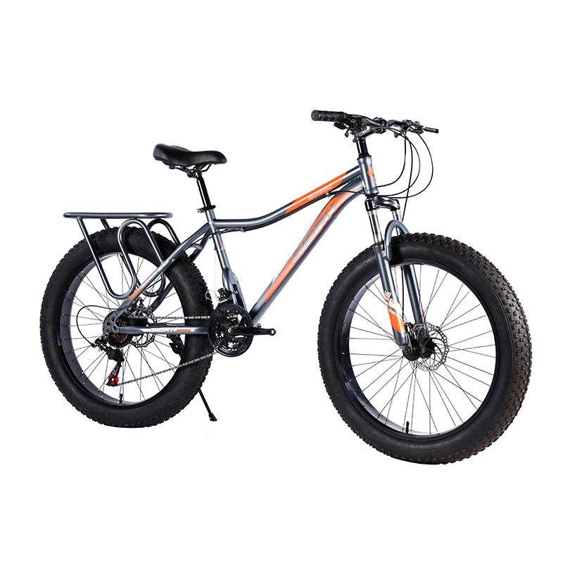 Factory Hot Sale 26inch Fat Tire Bike