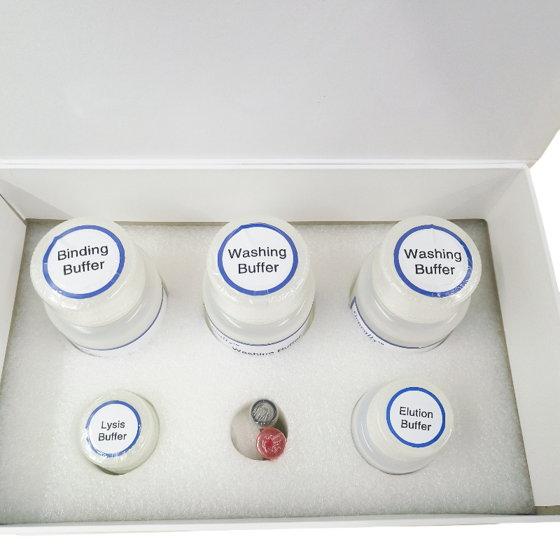Magnetic Bead Extraction Reagents