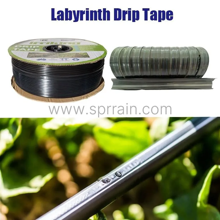 RDKS қосылу диаграммасы Бай егде әйелдермен және еркектермен жыныстық қатынас