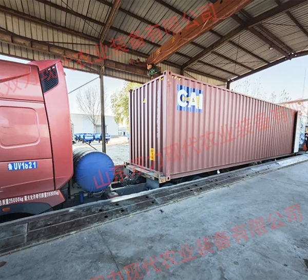 2024 Shonly export business increase steadily