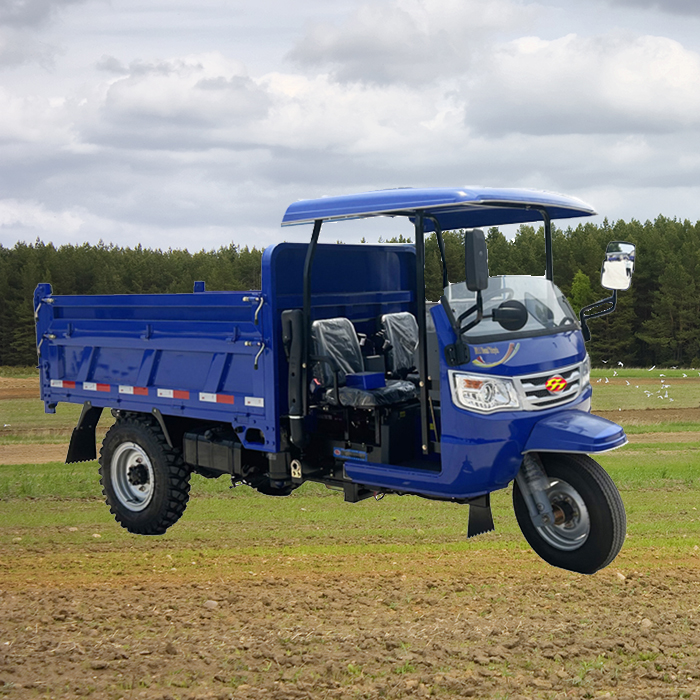 Africa hot sale tricycle