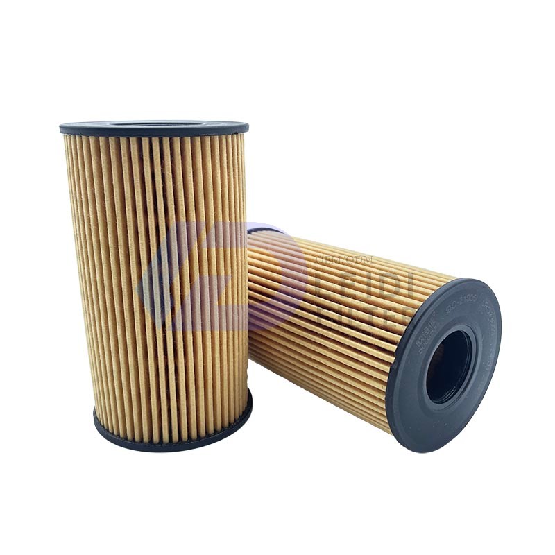 LR073669 Automobile oil filters - Leidi Filter