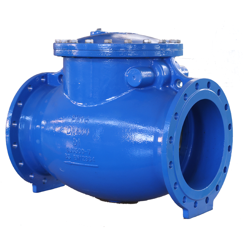 Hard sealed British standard rotary check valve