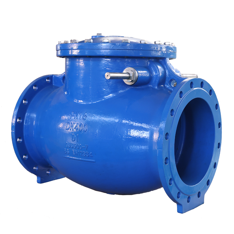 Hard sealed British standard rotary check valve can be customized with ...