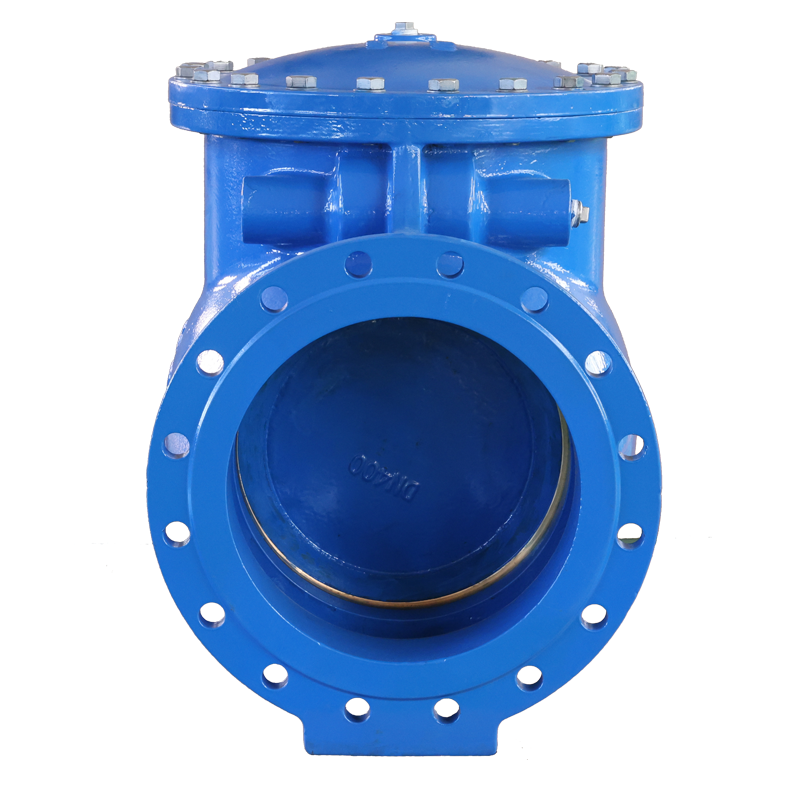 Hard sealed British standard rotary check valve