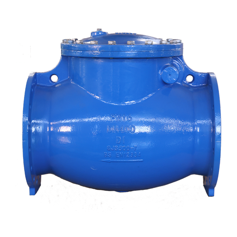 Hard sealed British standard rotary check valve