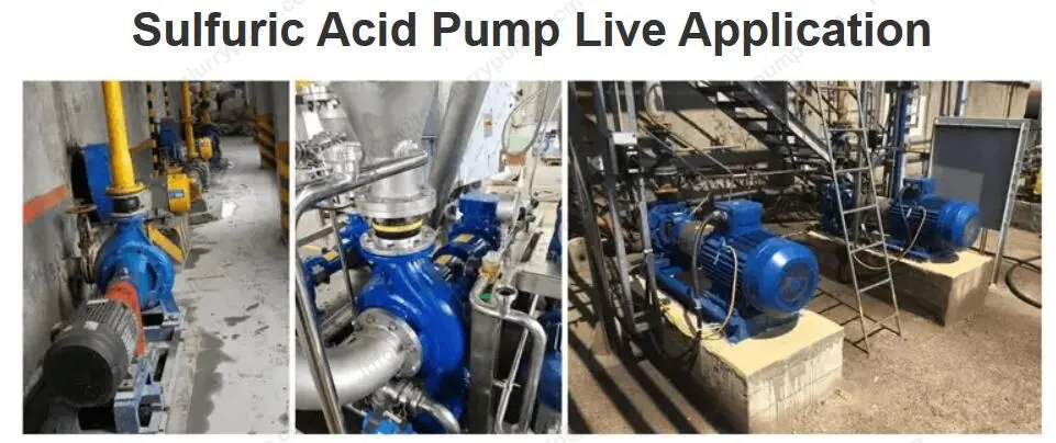 CZ standard chemical pumps