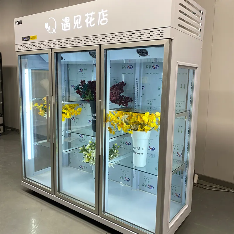 Refrigerador de exibição de flores
