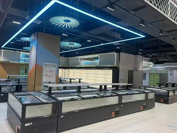သေးငယ်သောအဆင်ပြေစတိုးဆိုင်များအတွက် Chest Freezers ၏အားသာချက်များနှင့်အားနည်းချက်များ