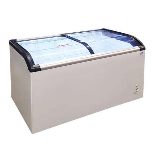 Sliding Glass Door Freezer