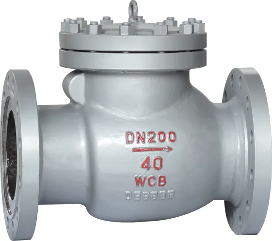 Swing Check Valve Swing Check Valve