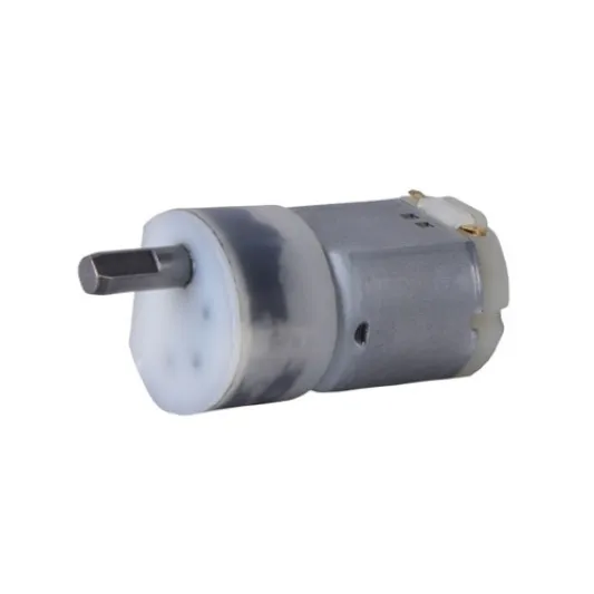 GM24 Gear Motor