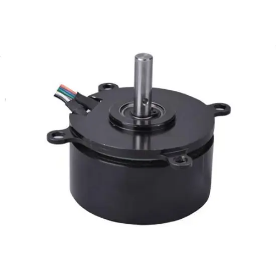 BLDC pump motor