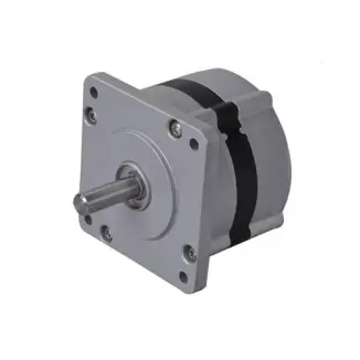 BL75 series BLDC motor
