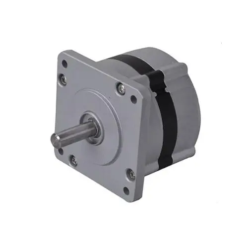 BL75 series BLDC motor