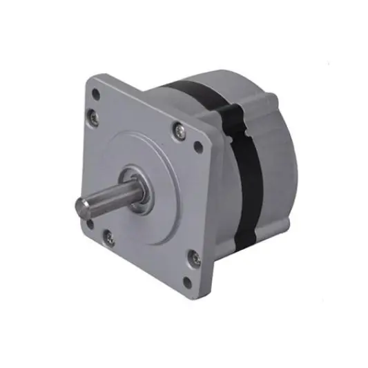 BL75 series BLDC motor