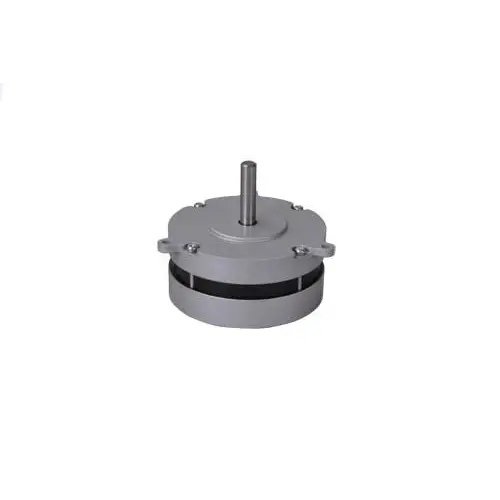 BL80 series BLDC motor