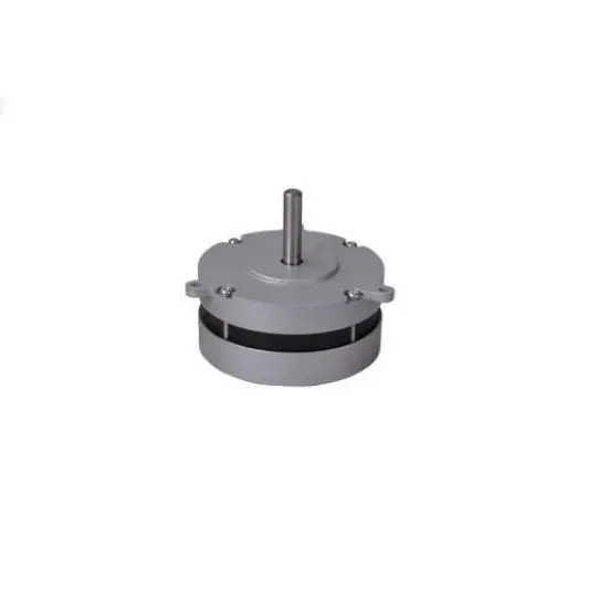 BL80 series BLDC motor