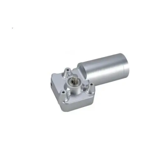 GM40 Worm Gear Motor