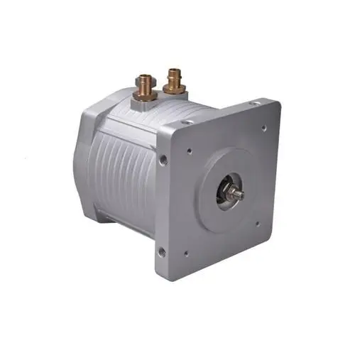 Electric Vehicles PMSM Motor