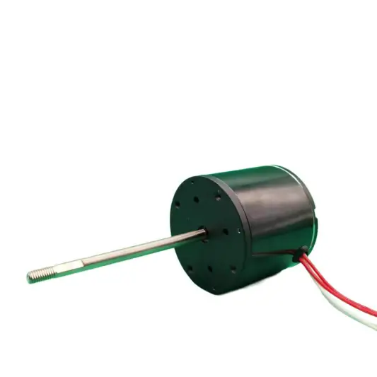 Ceiling Fan Motor