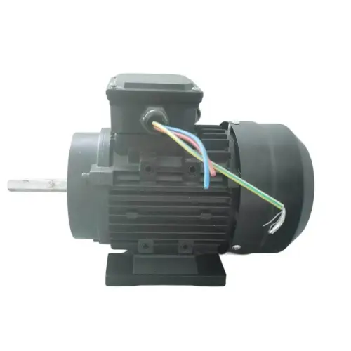 Three Phase Induction Motor
